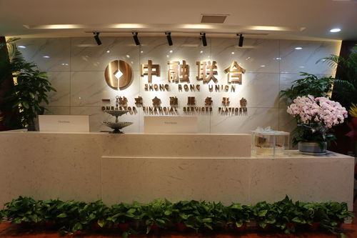 西安中融联合商务信息咨询 解析现代商务服务的核心价值